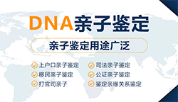 南京医院办理DNA亲子鉴定检材有什么，南京医院做血缘检测准确可靠吗